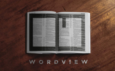 Wordview